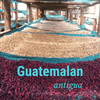 Guatemalan Antigua - Fresh Roast